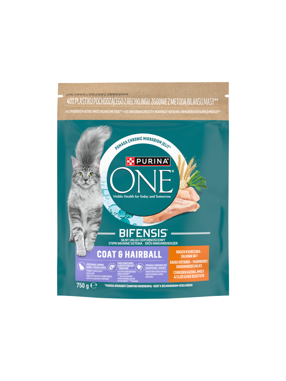 PURINA ONE Coat & Hairball z kurczakiem 750g