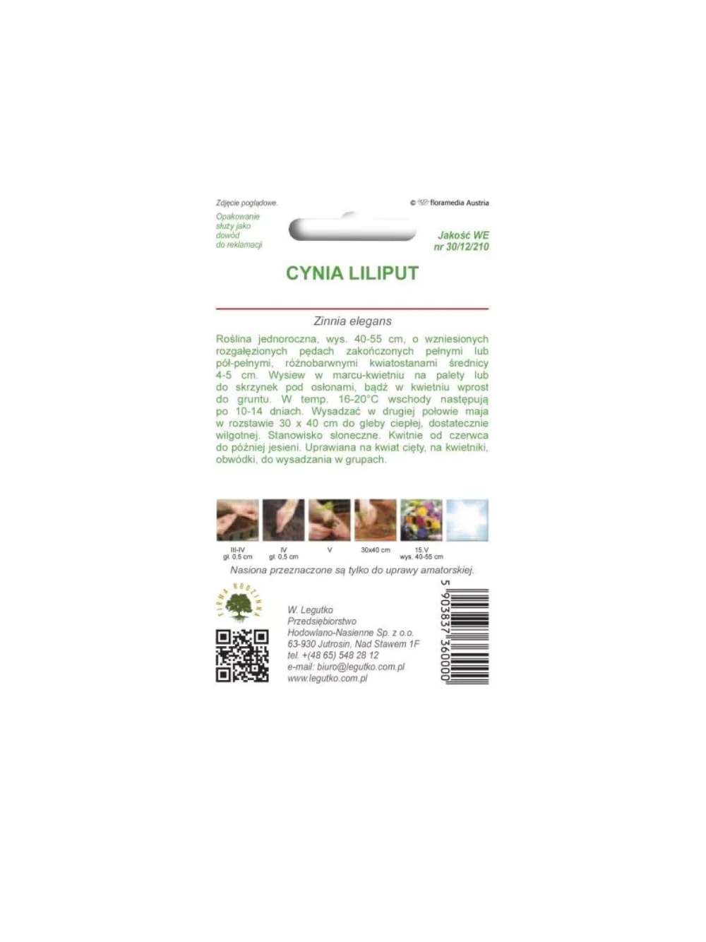 Cynia wytworna Liliput mieszanka