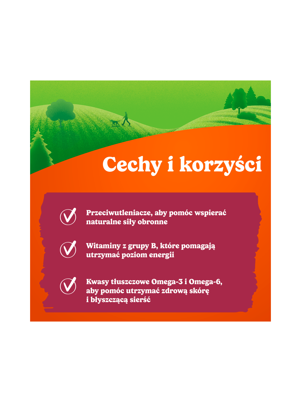 Friskies Beggin' Strips dla dorosłych psów o smaku bekonu 3x120g