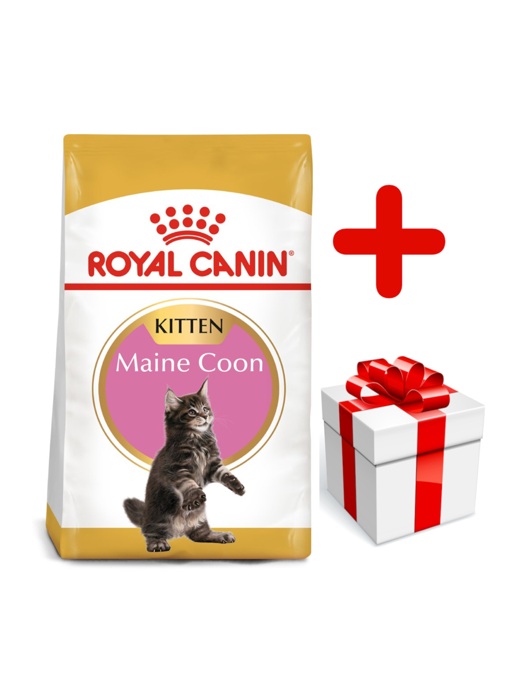 ROYAL CANIN Maine Coon Kitten 10kg +  niespodzianka dla kota GRATIS!