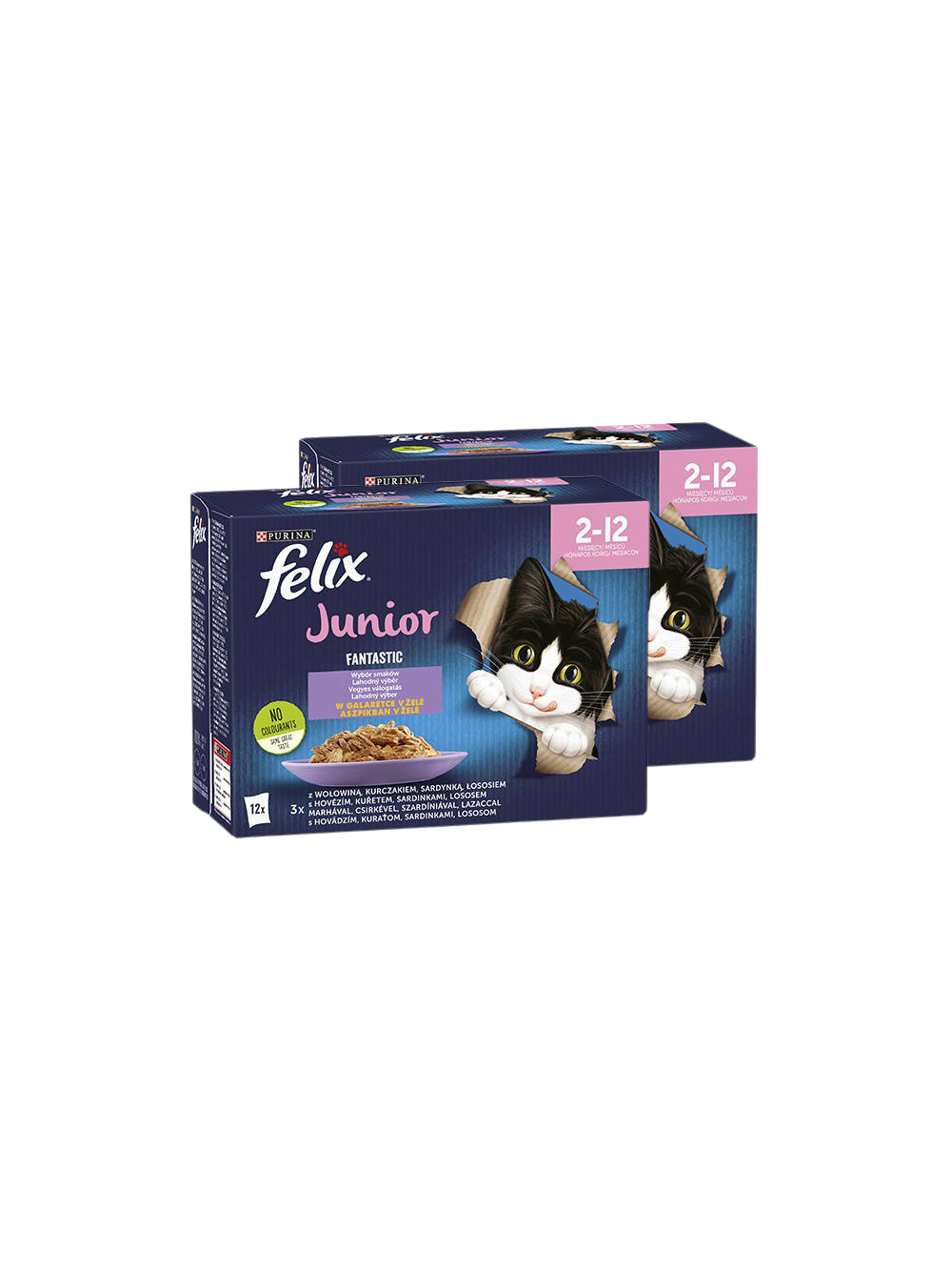 FELIX Fantastic Junior w galaretce;24x85g
