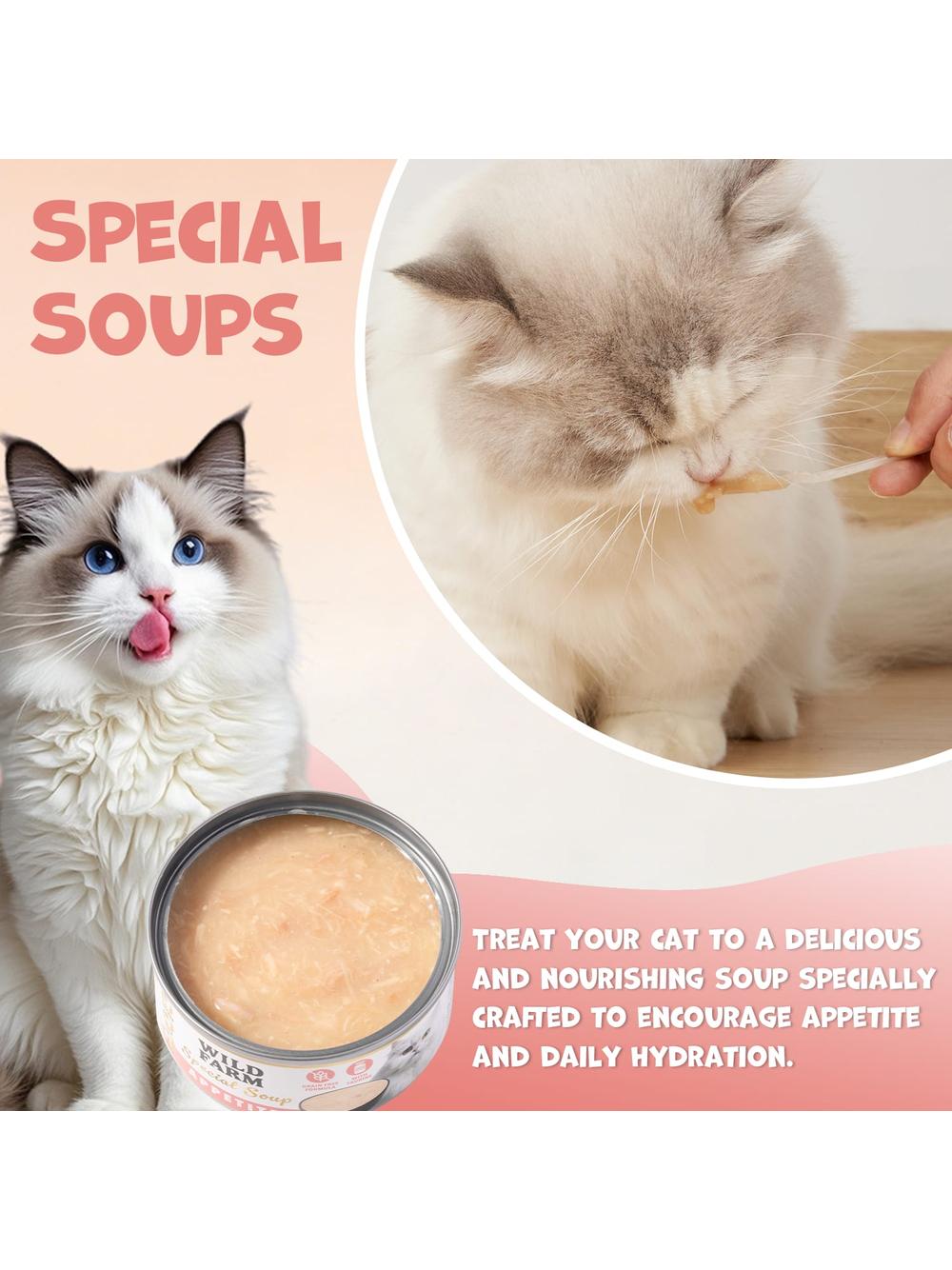 WILD FARM Special Soup 6x80g Mix– aromatyczna zupka - wsparcie prawidłowego nawodnienia