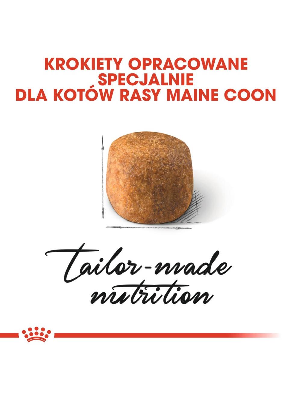 ROYAL CANIN Maine Coon Adult 4kg karma sucha dla kotów dorosłych rasy maine coon