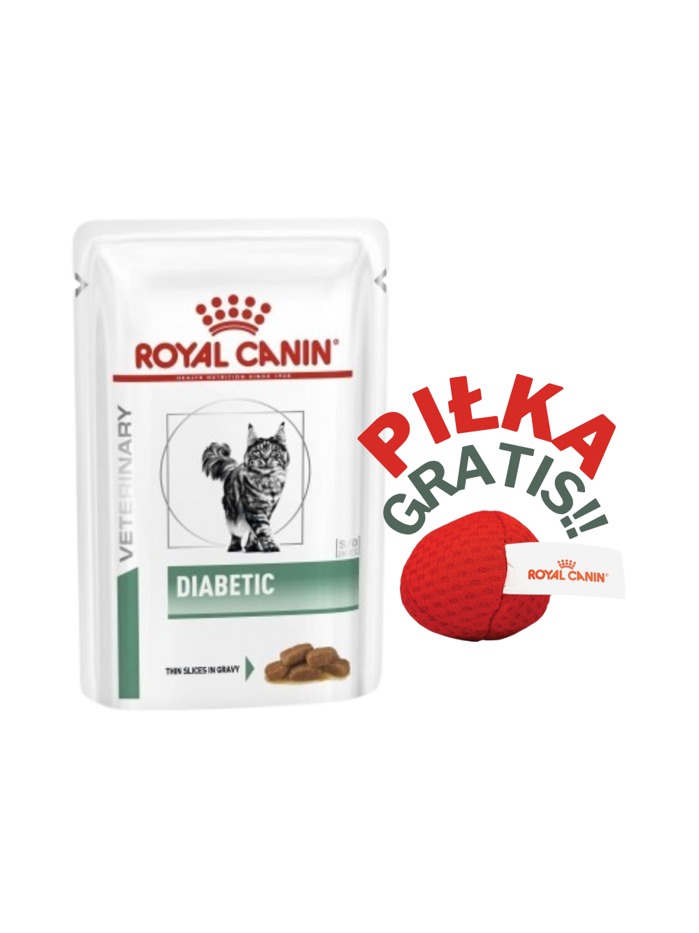 ROYAL CANIN Diabetic DS46 12x85g saszetka + PIŁKA GRATIS!!
