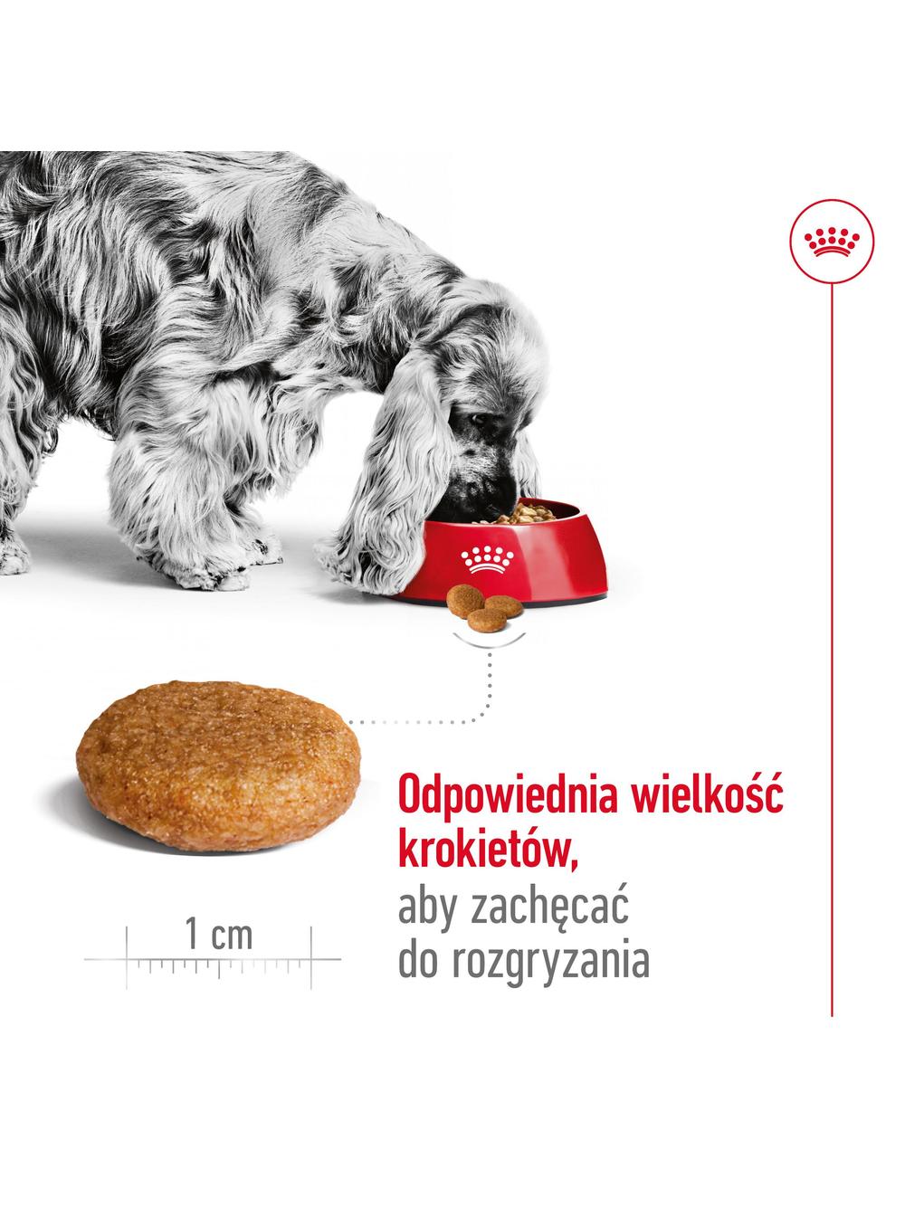 ROYAL CANIN®   Medium Adult 14,6 kg karma sucha dla psów dorosłych ras średnich, do 7 roku życia / Opakowanie uszkodzone (9529) !!!