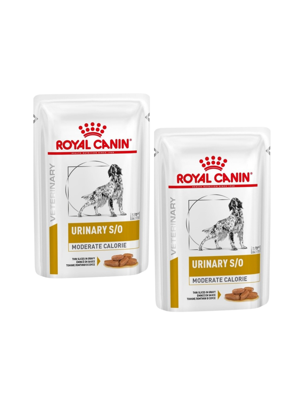 ROYAL CANIN Dog Urinary Moderate Calorie 2x(12x100g) - dla psa