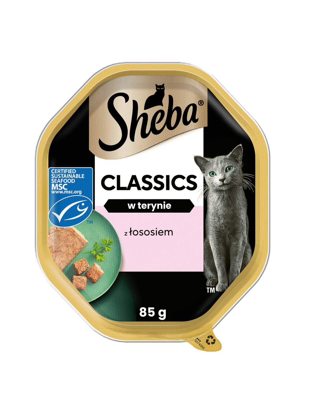 SHEBA Classics tacka 22x85 g – mokra karma pełnoporcjowa dla dorosłych kotów, z łososiem, w terynie