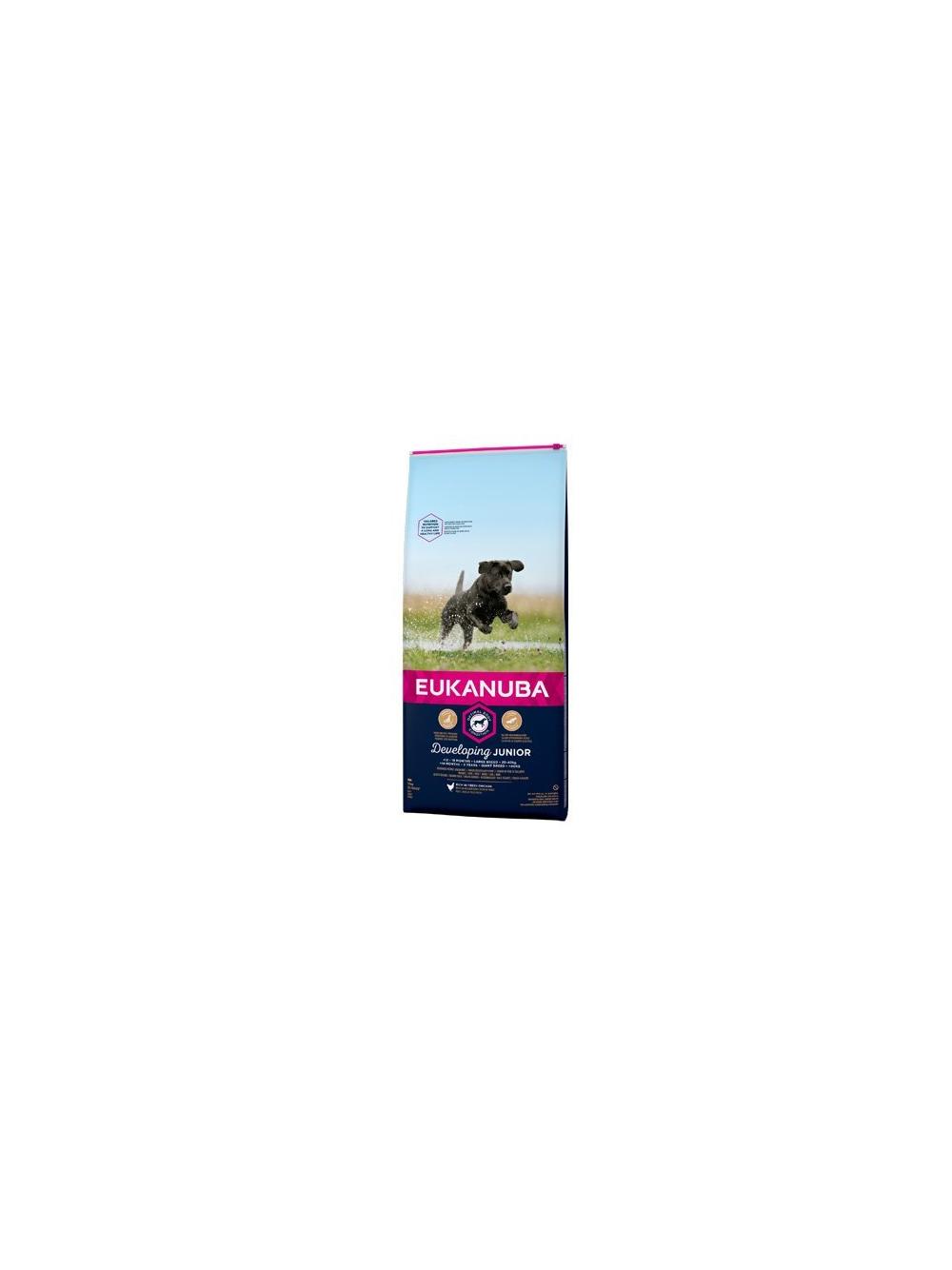 EUKANUBA Junior Large 15kg + niespodzianka dla psa GRATIS!