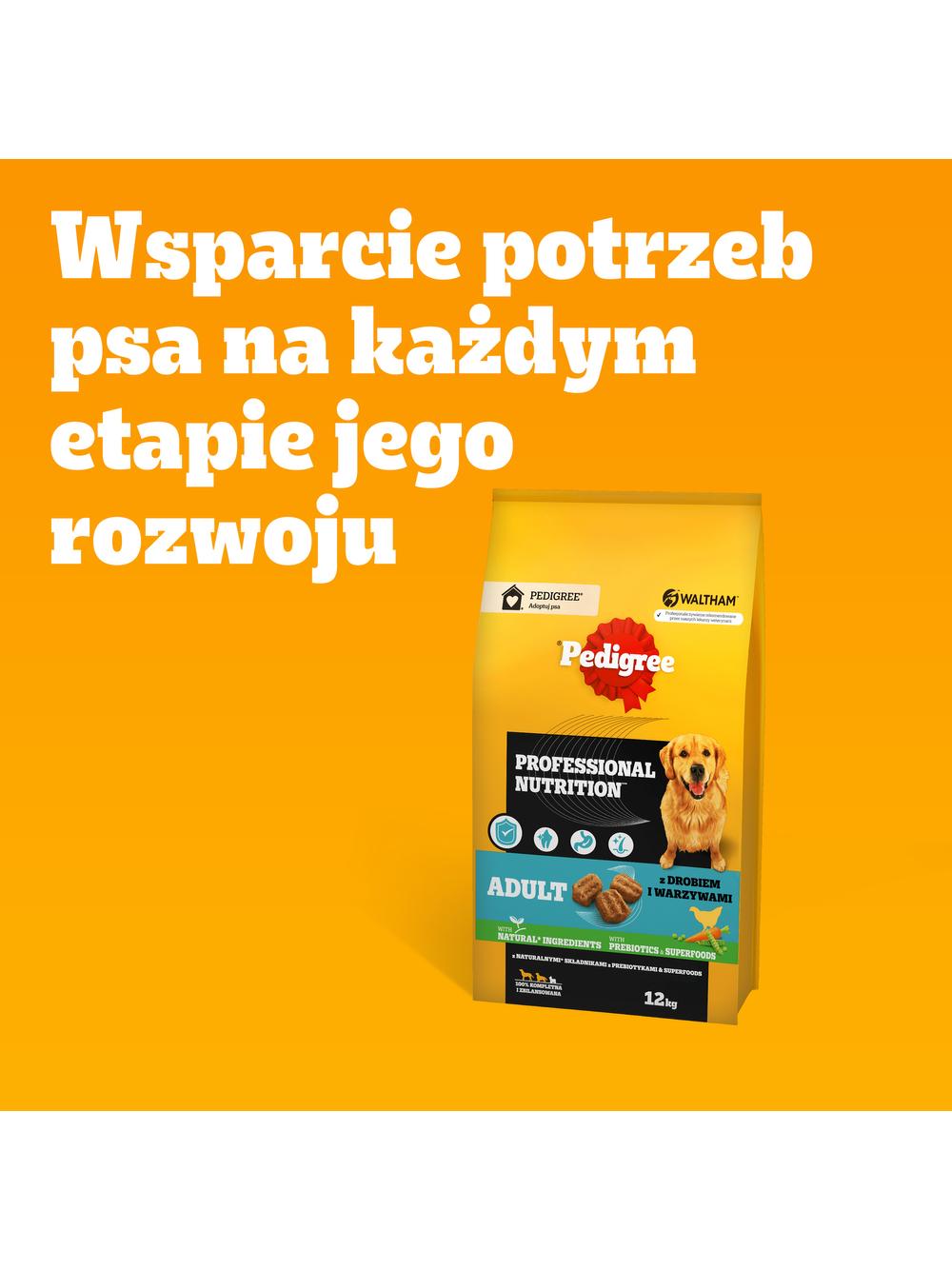 PEDIGREE® Adult Professional Nutrition 12kg z drobiem i warzywami - sucha karma pełnoporcjowa dla dorosłych psów dużych i średnich ras / Opakowanie uszkodzone (7355,7496,7649,7651,7658) !!!