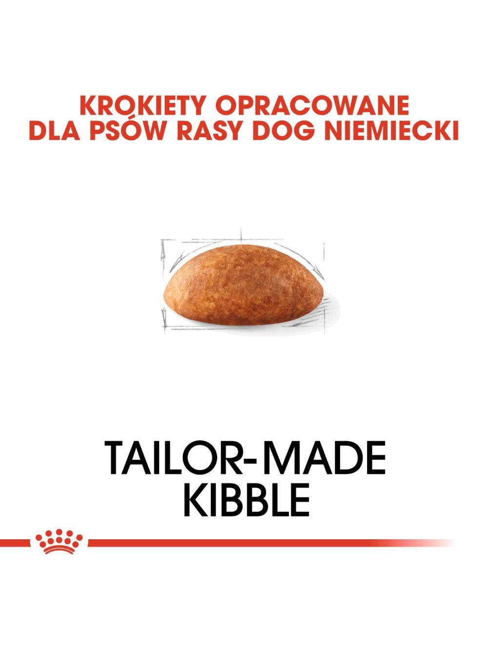 ROYAL CANIN Great Dane Adult 12kg karma sucha dla psów dorosłych rasy dog niemiecki