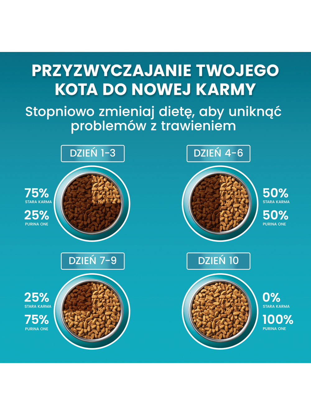 Purina One Cat Adult Karma z wołowiną dla kota 750g