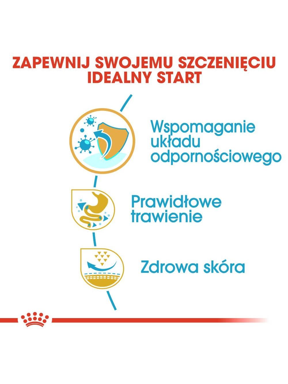 ROYAL CANIN French Bulldog Puppy 10kg karma sucha dla szczeniąt do 12 miesiąca, rasy bulldog francuski + niespodzianka dla psa GRATIS!