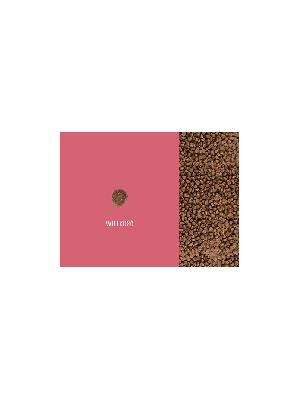 JOSERA JosiCat Kitten 10kg + NIESPODZIANKA DLA KOTA GRATIS!