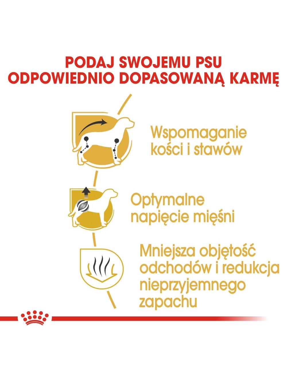 ROYAL CANIN Dachshund karma sucha dla psów dorosłych rasy jamnik  500g