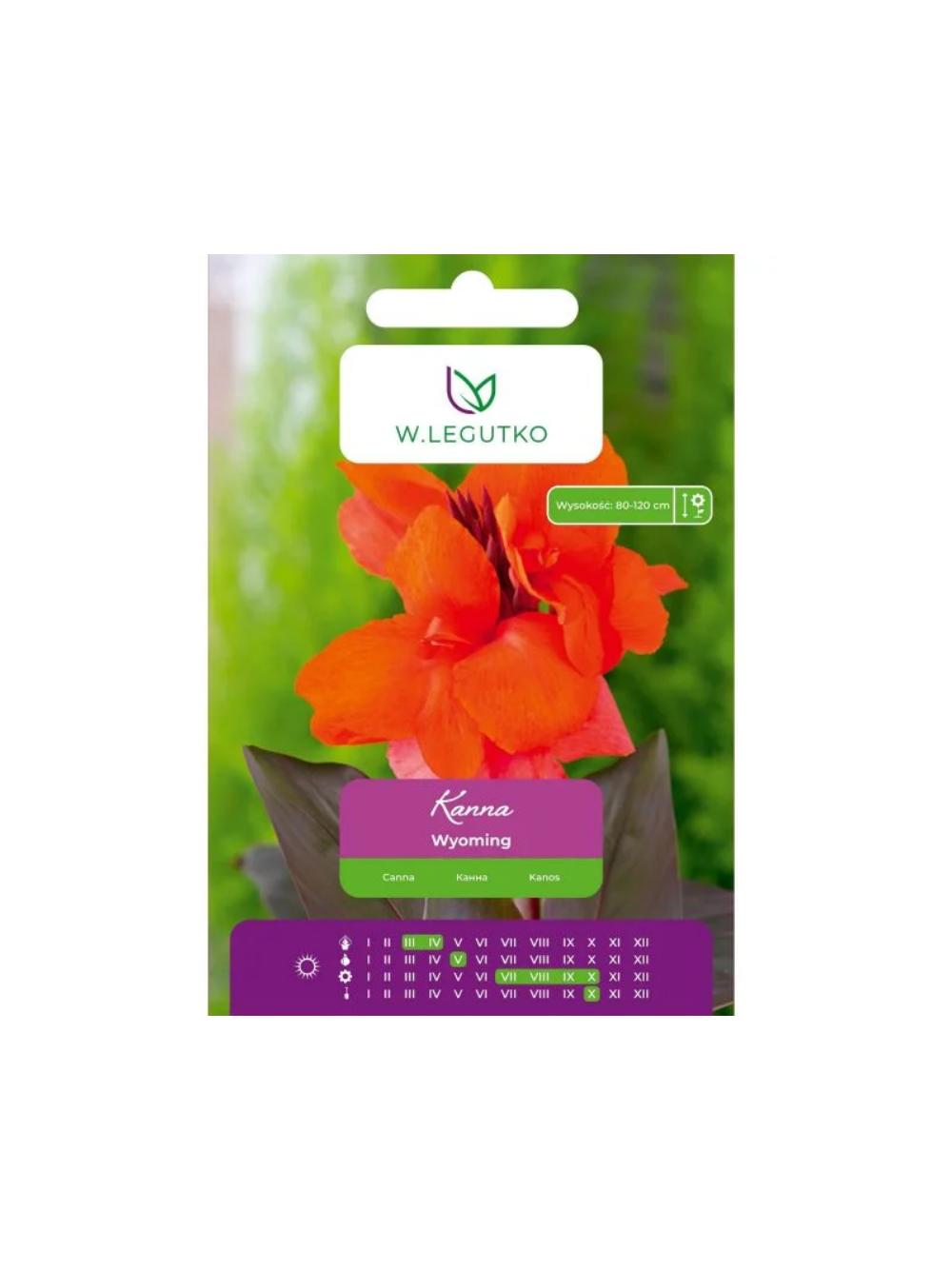 Kanna Wyoming pomarańczowa 1szt.