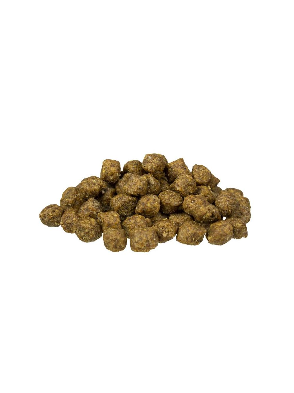 Bosch Adult Mini Lamb & Rice, jagnięcina i ryż (nowa receptura) 15kg + Niespodzianka dla psa GRATIS