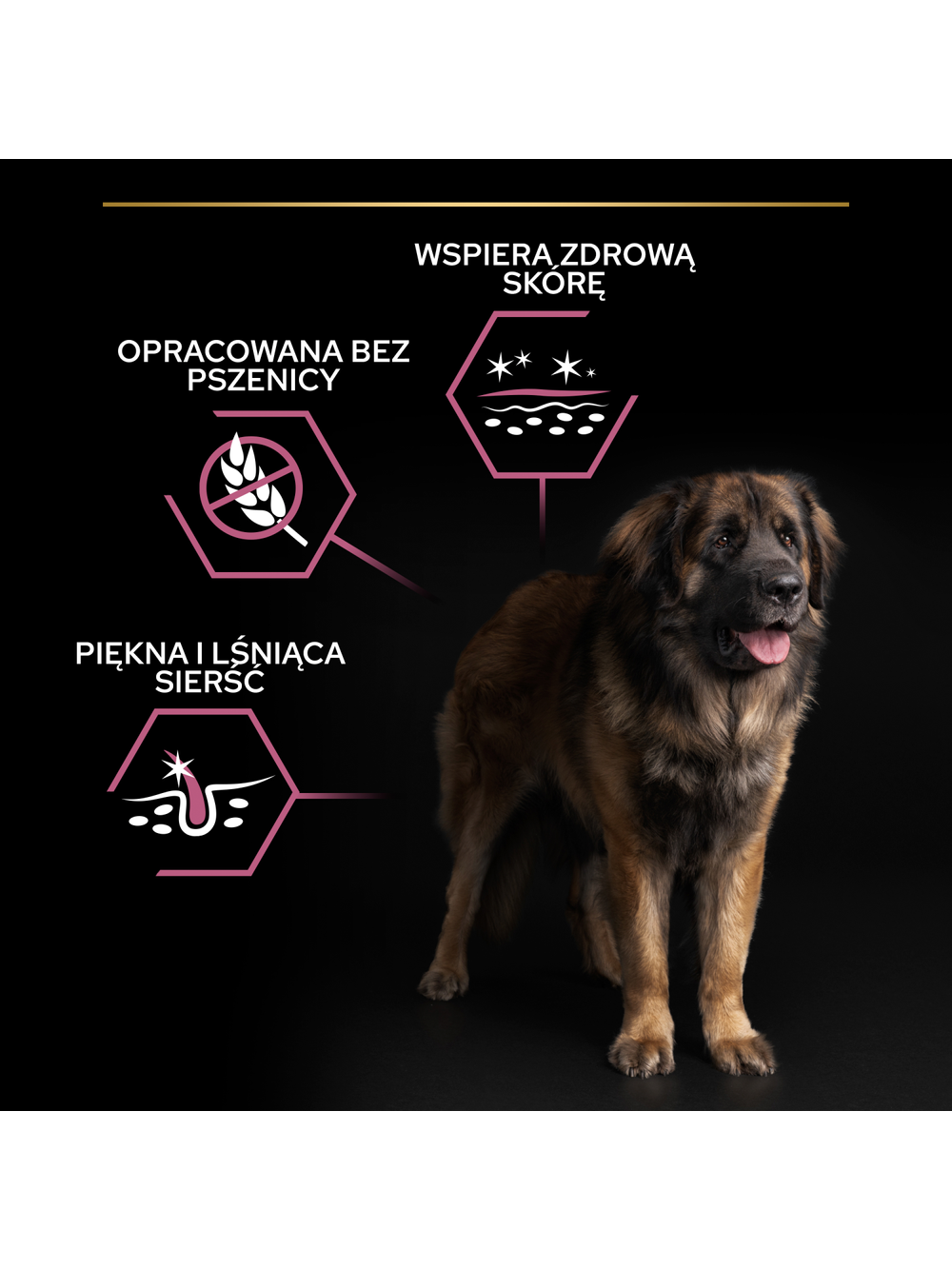 PRO PLAN Sensitive Skin Large Robust Adult Karma dla psów bogata w łososia 14kg