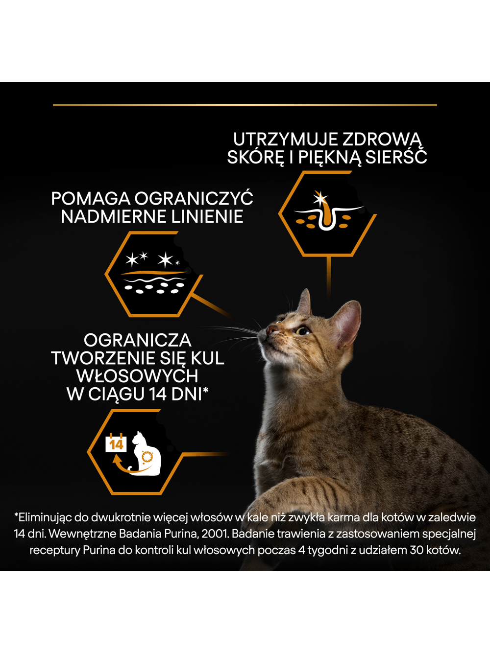 PRO PLAN Adult Derma Care Bogata w Łososia Sucha karma dla kota 10kg