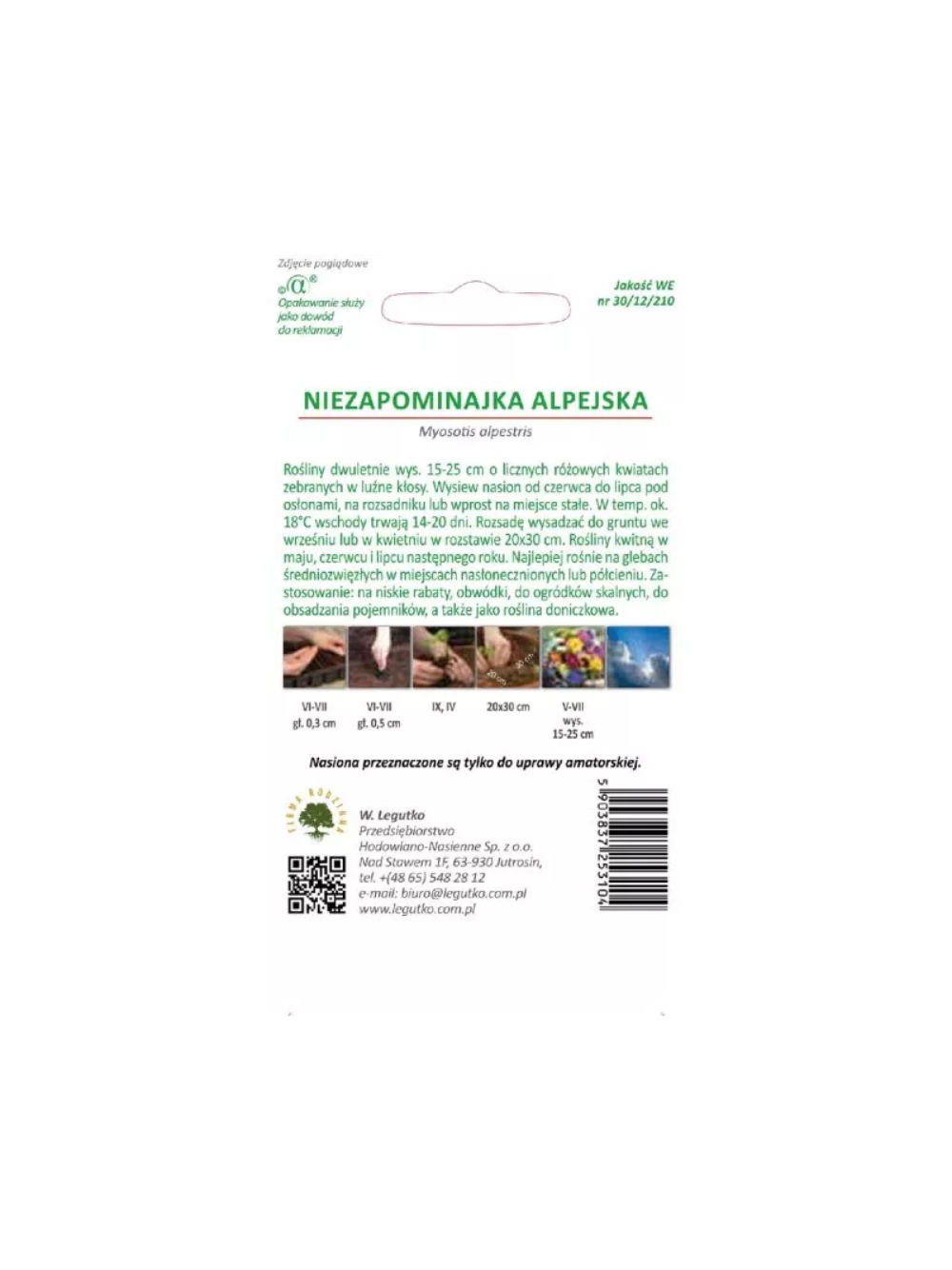 Niezapominajka alpejska - różowa