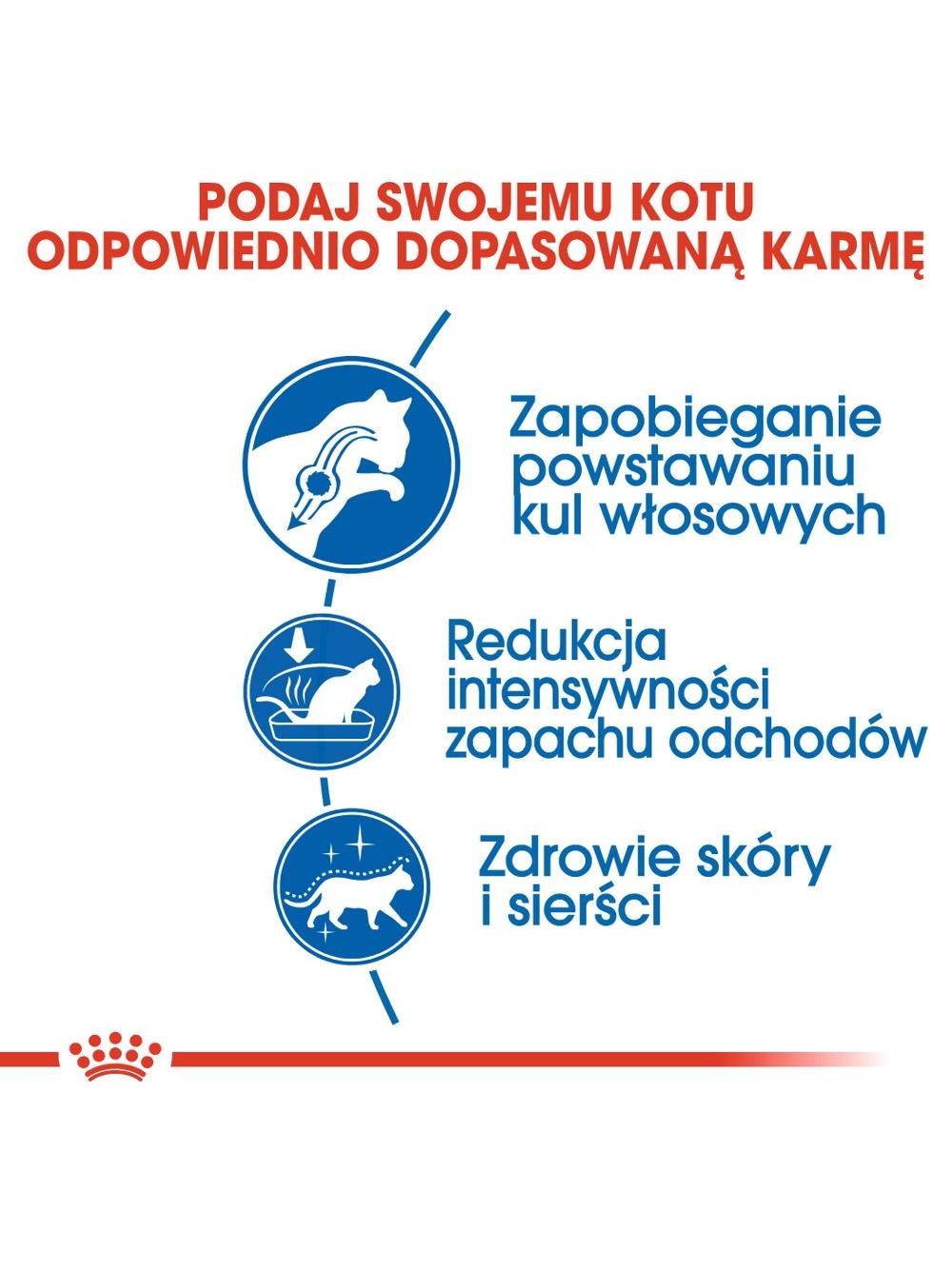 ROYAL CANIN  Indoor Long Hair 10kg karma sucha dla kotów dorosłych, długowłose, przebywających wyłącznie w domu / Opakowanie uszkodzone (9512) !!!
