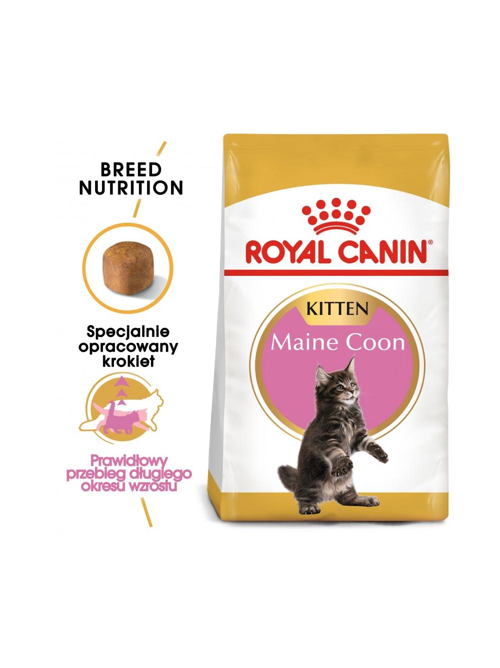 ROYAL CANIN Maine Coon Kitten 400g karma sucha dla kociąt, do 15 miesiąca, rasy maine coon