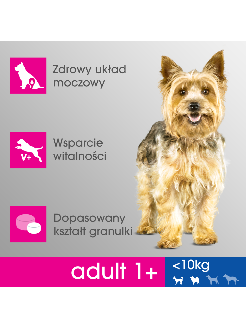 PERFECT FIT (Adult 1+) 6x825g Bogaty w kurczaka - sucha karma dla psa małej rasy