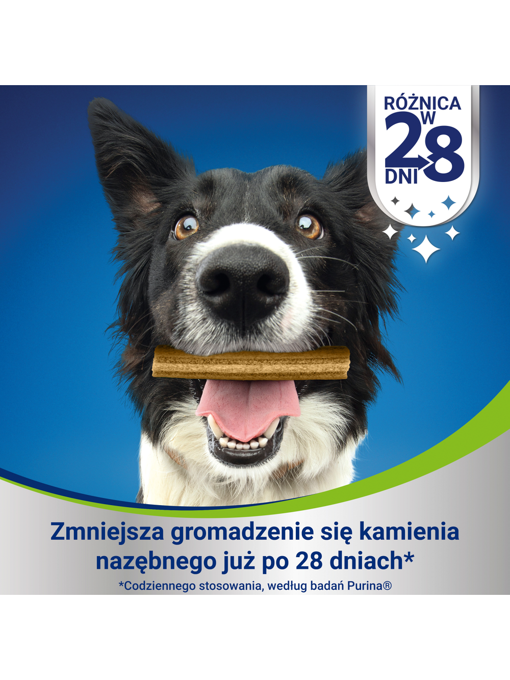Purina Dentalife Large 142g
