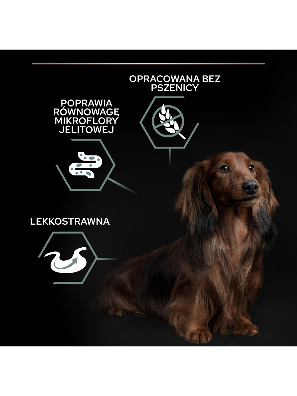 PRO PLAN Sensitive Digestion Small & Mini Adult Karma dla psów bogata w indyka 7 kg