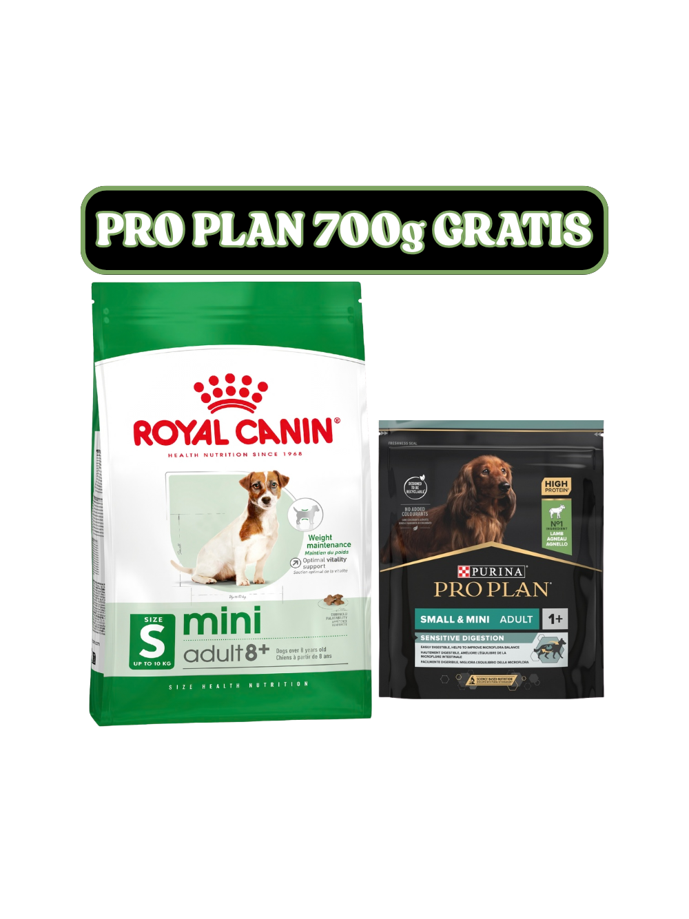 ROYAL CANIN Mini Adult +8  8kg karma sucha dla psów starszych od 8 do 12 roku życia, ras małych