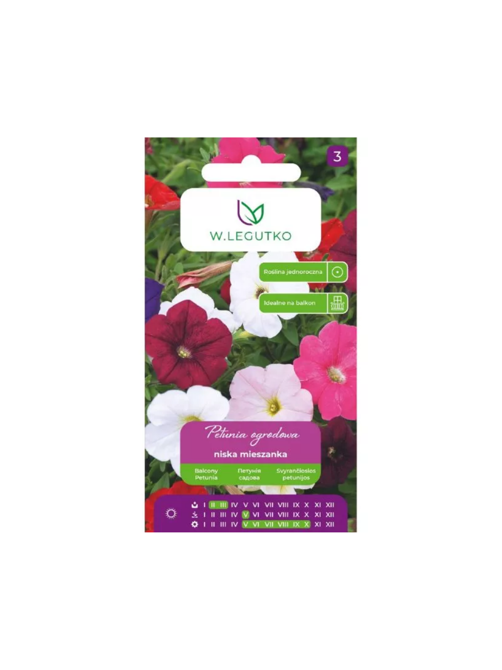 Petunia ogrodowa mieszanka