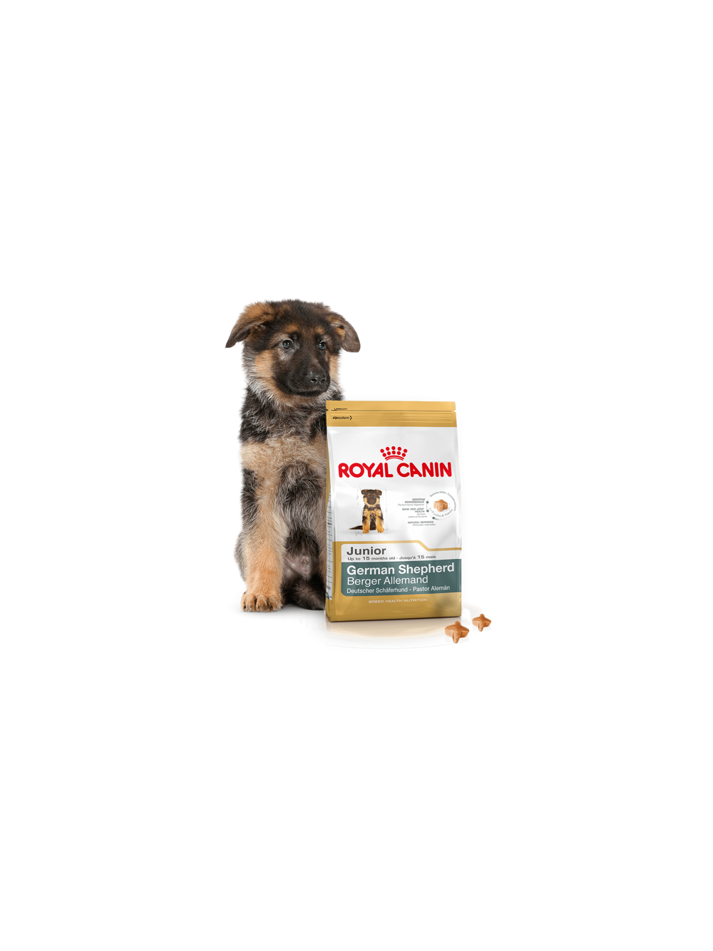 ROYAL CANIN German Shepherd Puppy 12kg karma sucha dla szczeniąt do 15 miesiąca, rasy owczarek niemiecki  + niespodzianka dla psa GRATIS!