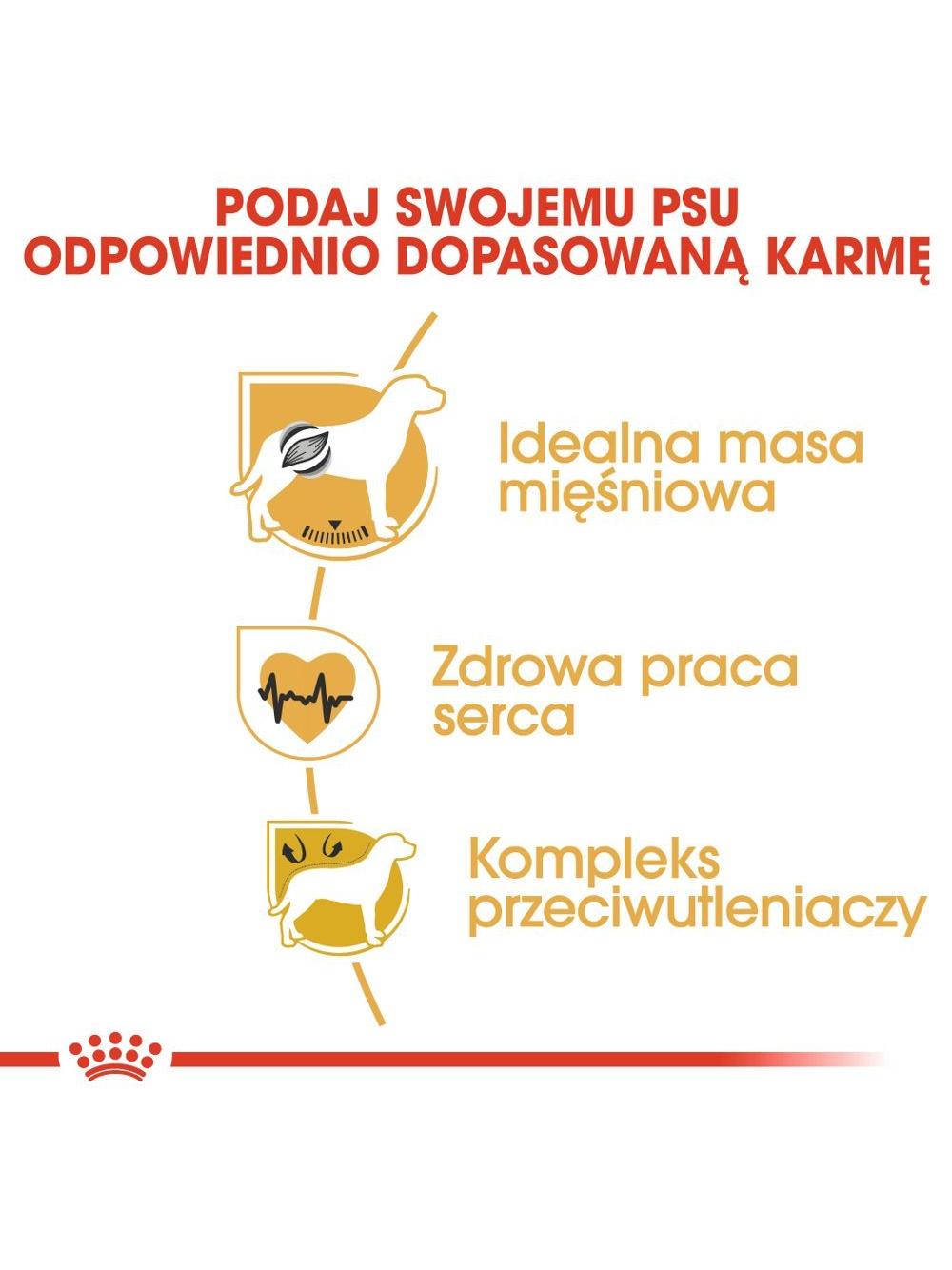 ROYAL CANIN Boxer Puppy 12kg + niespodzianka dla psa GRATIS!