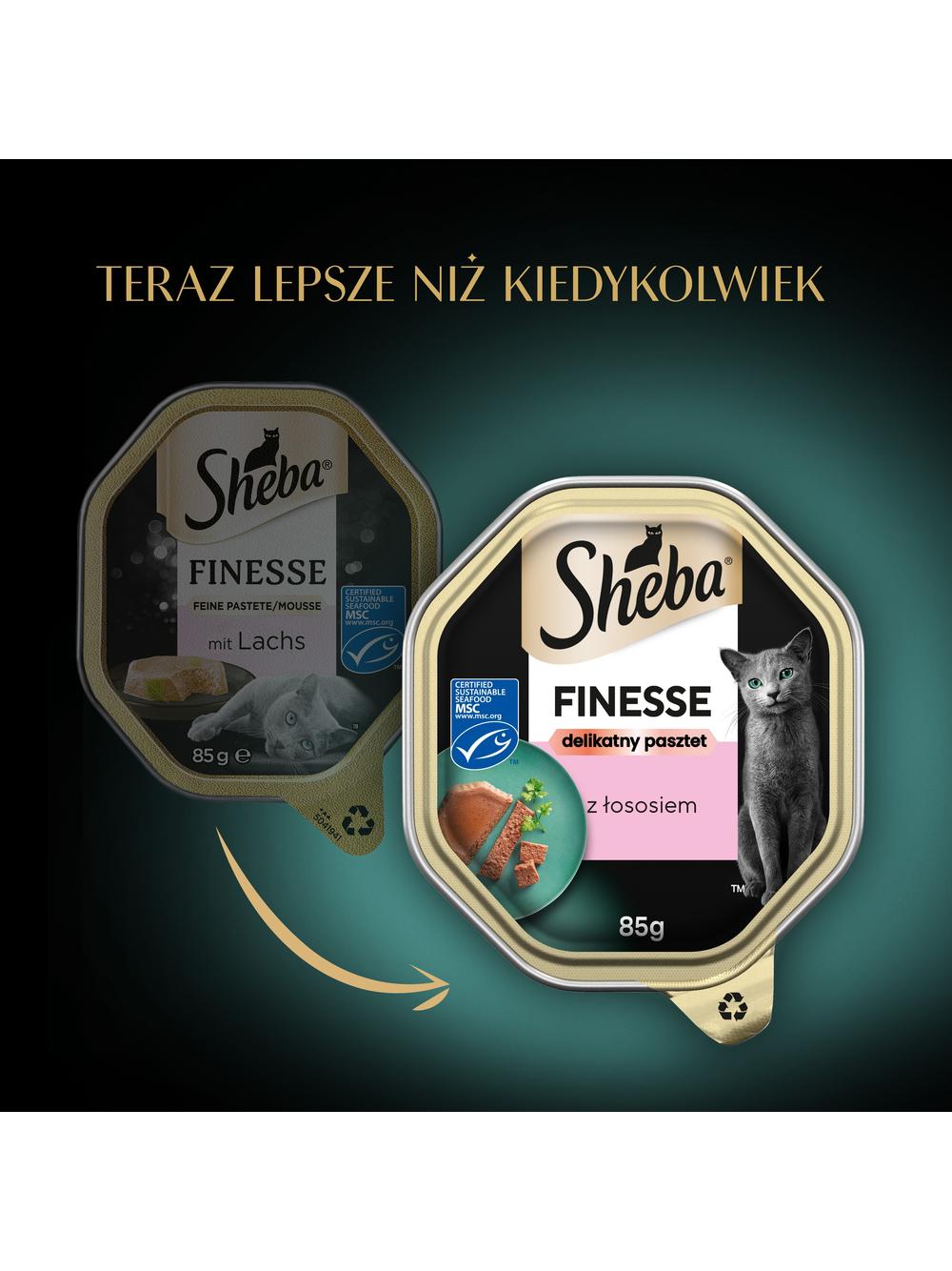 SHEBA Finesse tacka 44x85 g – mokra karma pełnoporcjowa dla dorosłych kotów, z łososiem, w pasztecie