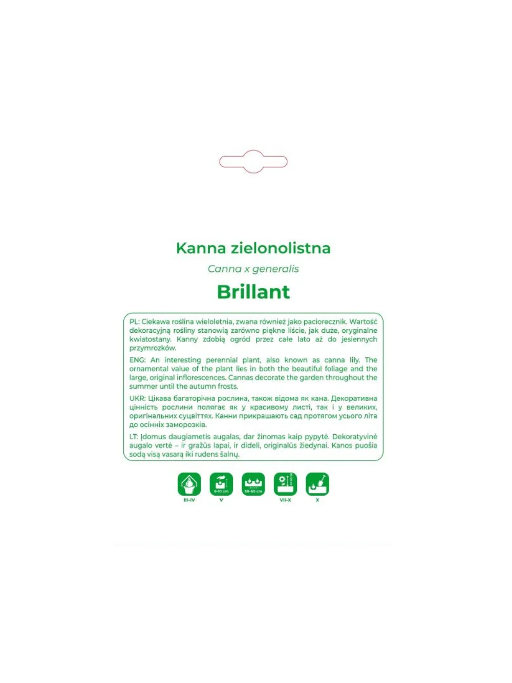 Kanna Brillant czerwona 1szt.