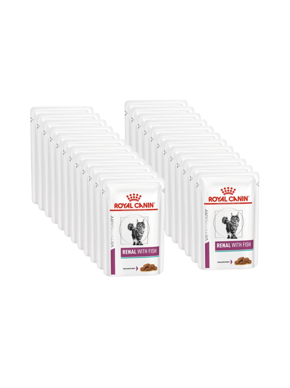 ROYAL CANIN Renal with Fish 2x(12x85g) saszetka
