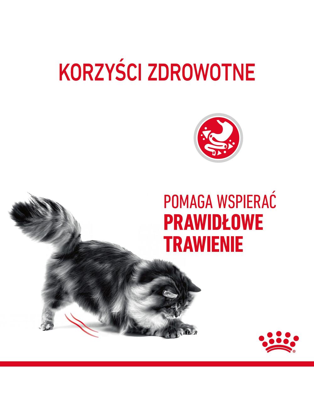 ROYAL CANIN®   Digestive Care 10 kg karma sucha dla kotów dorosłych wspierająca prawidłowe trawienie + Piłka dla kota GRATIS!