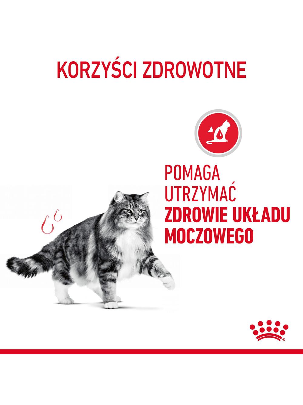 ROYAL CANIN  Urinary Care 10kg karma sucha dla kotów dorosłych, ochrona dolnych dróg moczowych + Piłka dla kota GRATIS!
