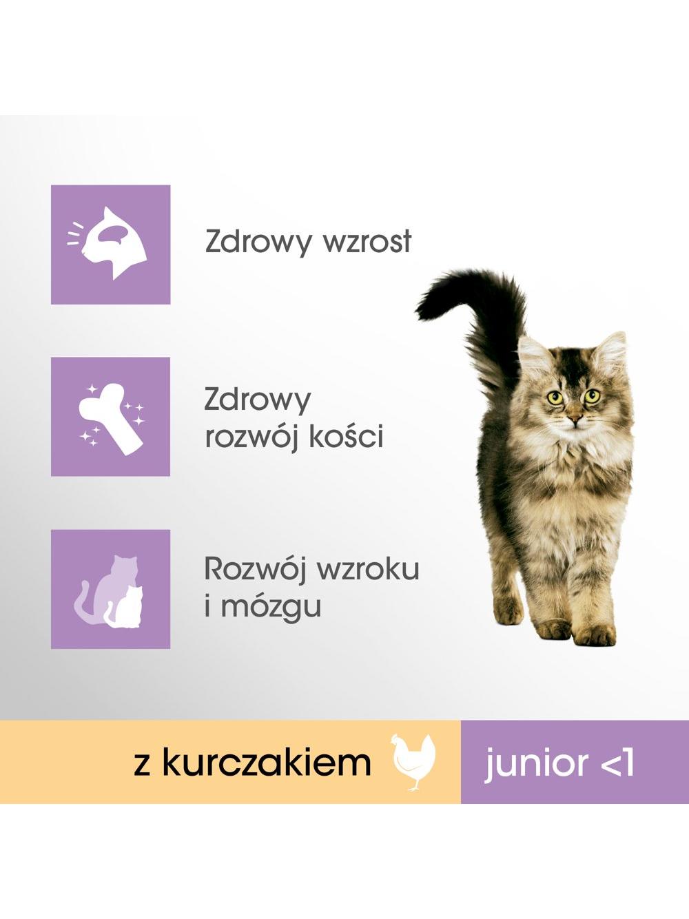 PERFECT FIT (Junior) 6x750g Bogaty w kurczaka - sucha karma dla kota
