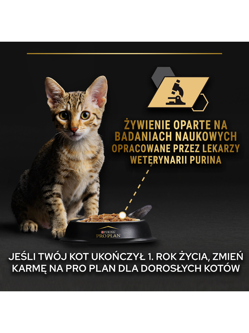 PRO PLAN Nutrisavour Kitten Karma dla kociąt delikatne kawałki z indykiem w sosie 85g