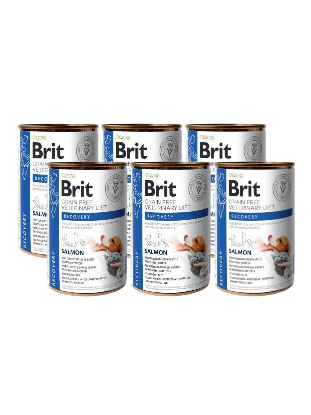 BRIT GF Veterinary Diets Recovery Salmon 6x400g - karma mokra dla psa i kota