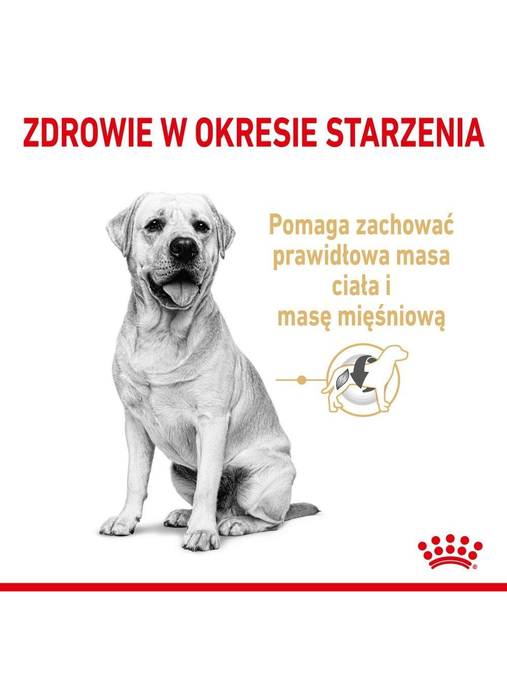 ROYAL CANIN Labrador Retriever Adult 5+ 12kg karma sucha dla psów dorosłych rasy Labrador Retriever, powyżej 5 roku życia