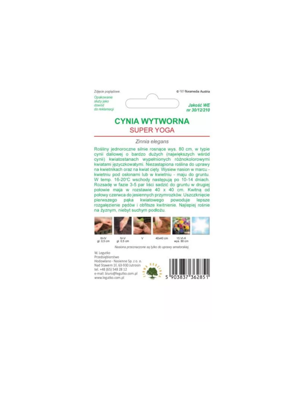Cynia wytworna Super Yoga mieszanka wielkokwiatowa