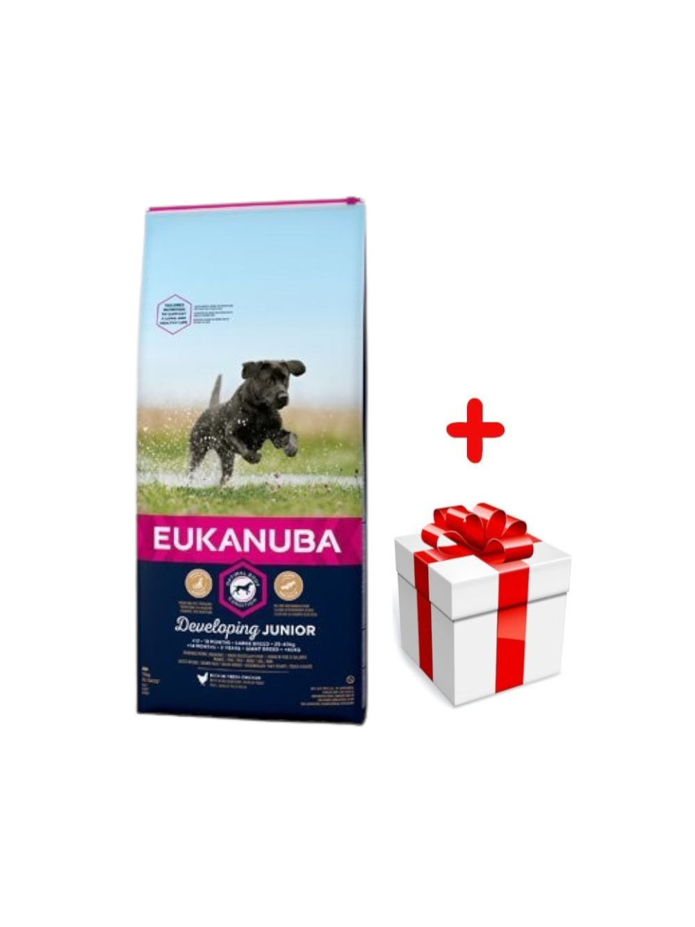 EUKANUBA Junior Large 15kg + niespodzianka dla psa GRATIS!