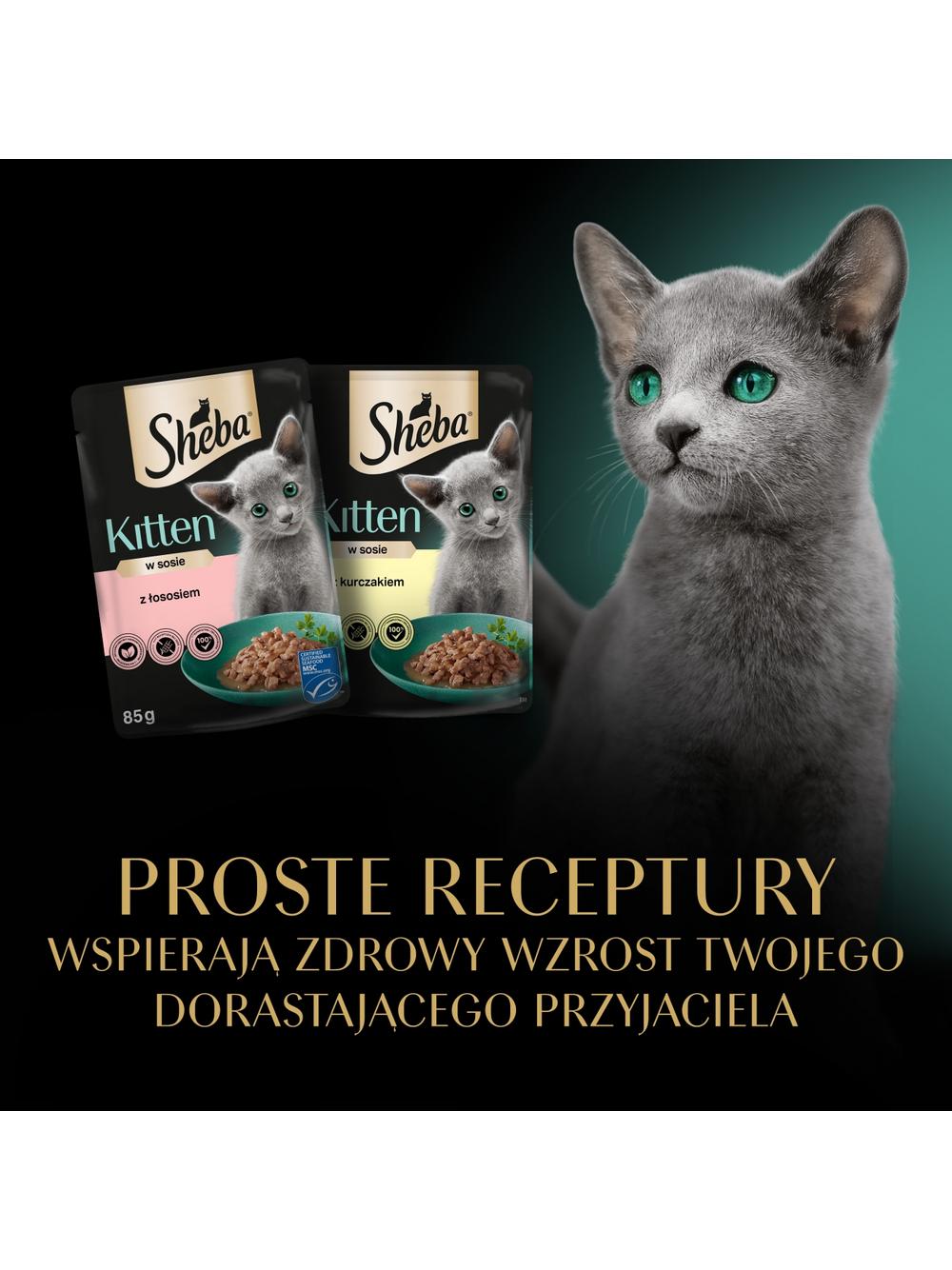 SHEBA Kitten Wybór Smaków saszetki 40x85 g – mokra karma pełnoporcjowa dla kociąt, w sosie (kawałki z: łososiem, kurczakiem)