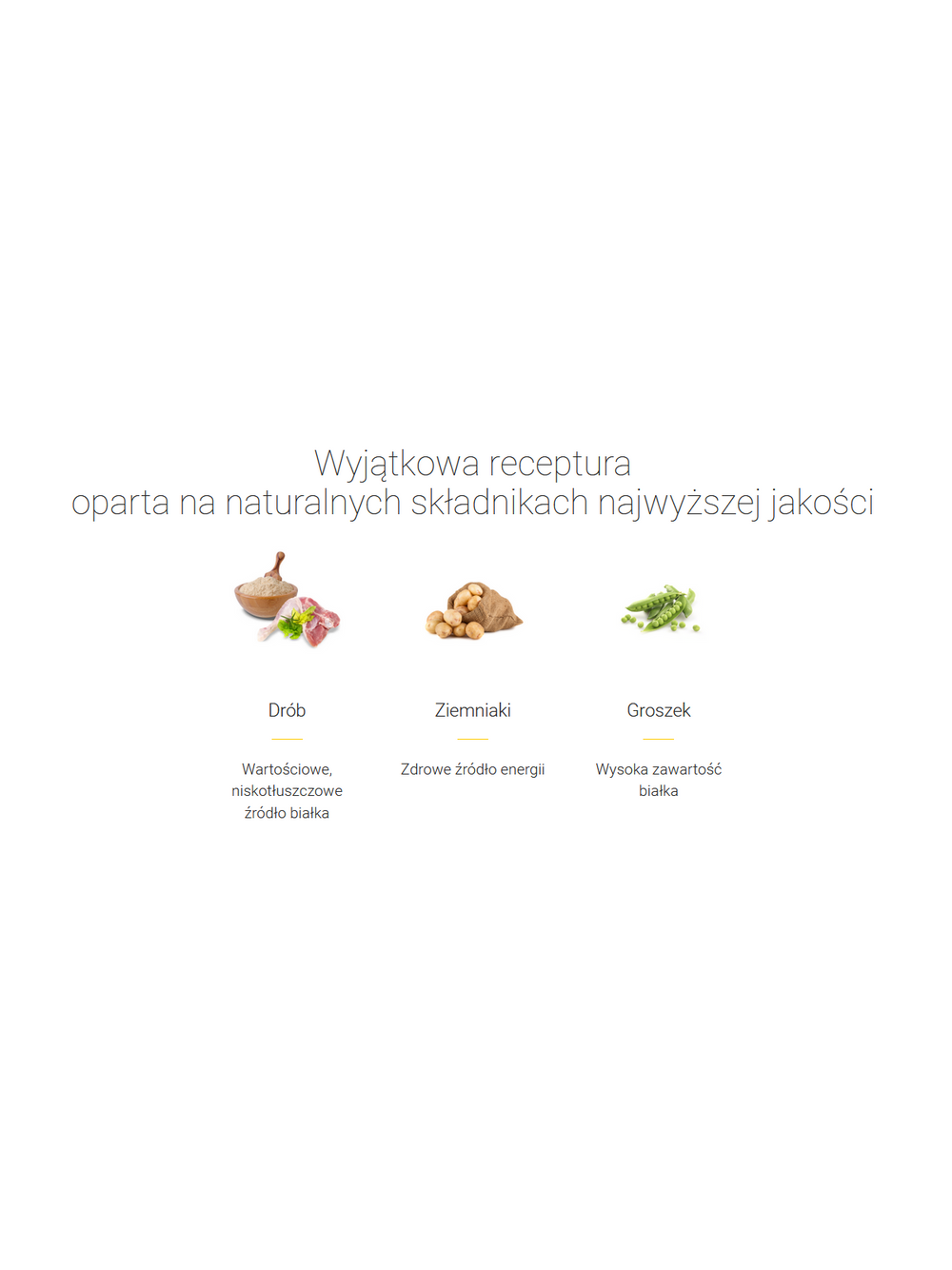 JOSERA Kitten Grainfree 2kg + NIESPODZIANKA DLA KOTA GRATIS!