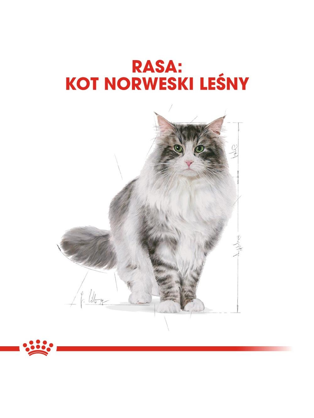 ROYAL CANIN Norvegian Forest Cat Adult 2kg karma sucha dla kotów dorosłych rasy norweski leśny