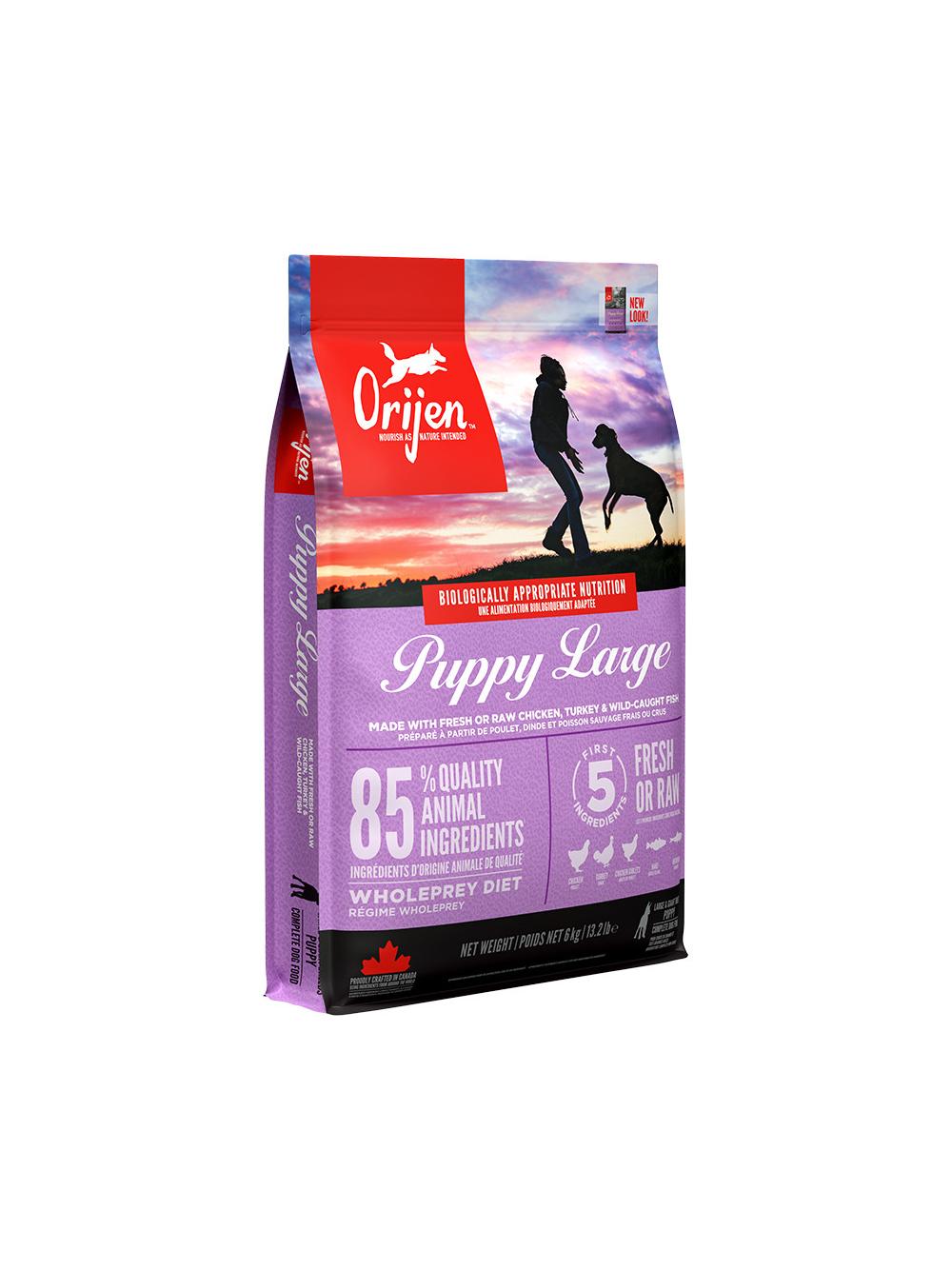 ORIJEN Puppy Large 6kg + niespodzianka dla psa GRATIS!