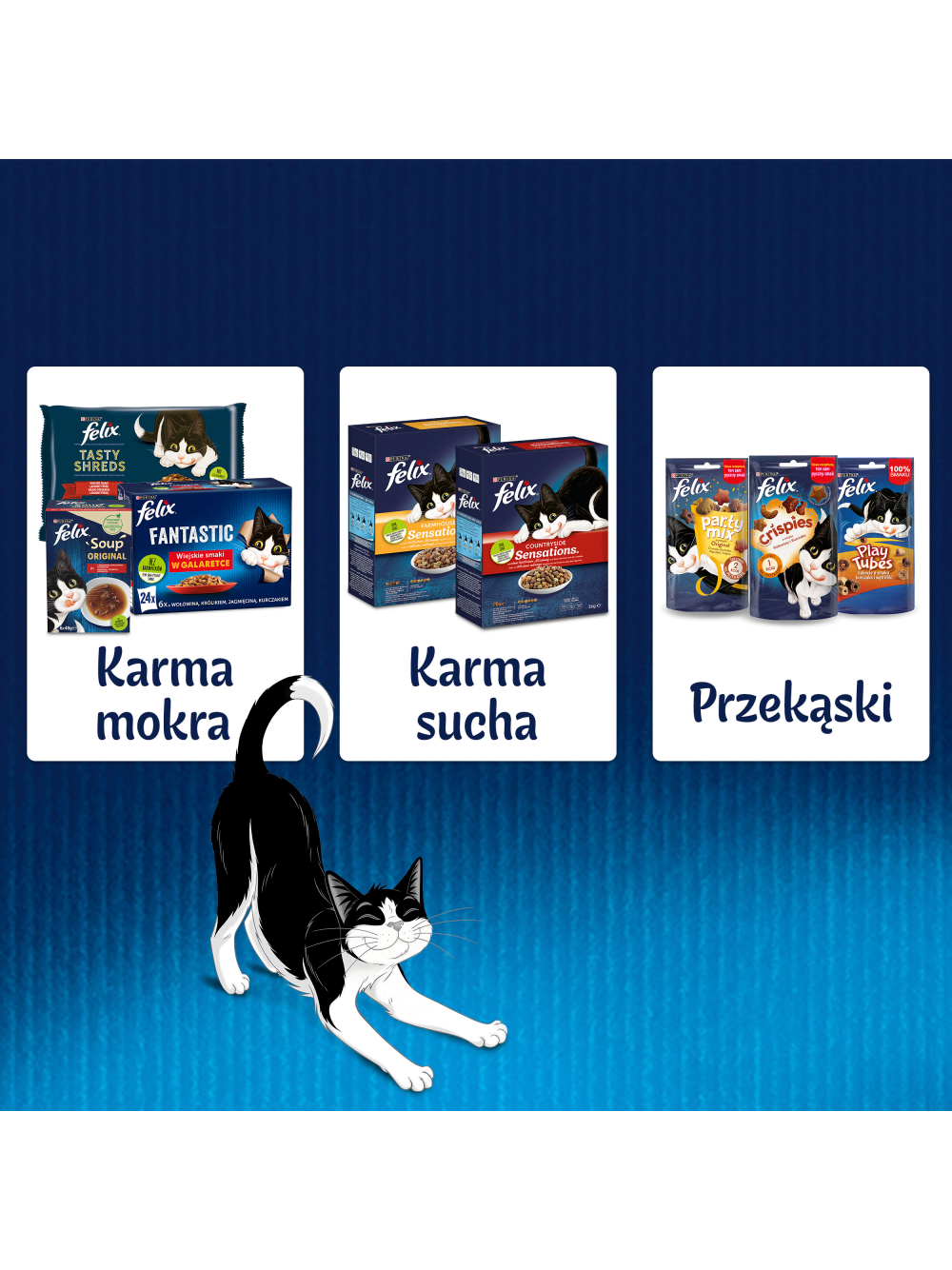 Felix w galaretce MIX MIĘSNY saszetka 4x(44x85g)