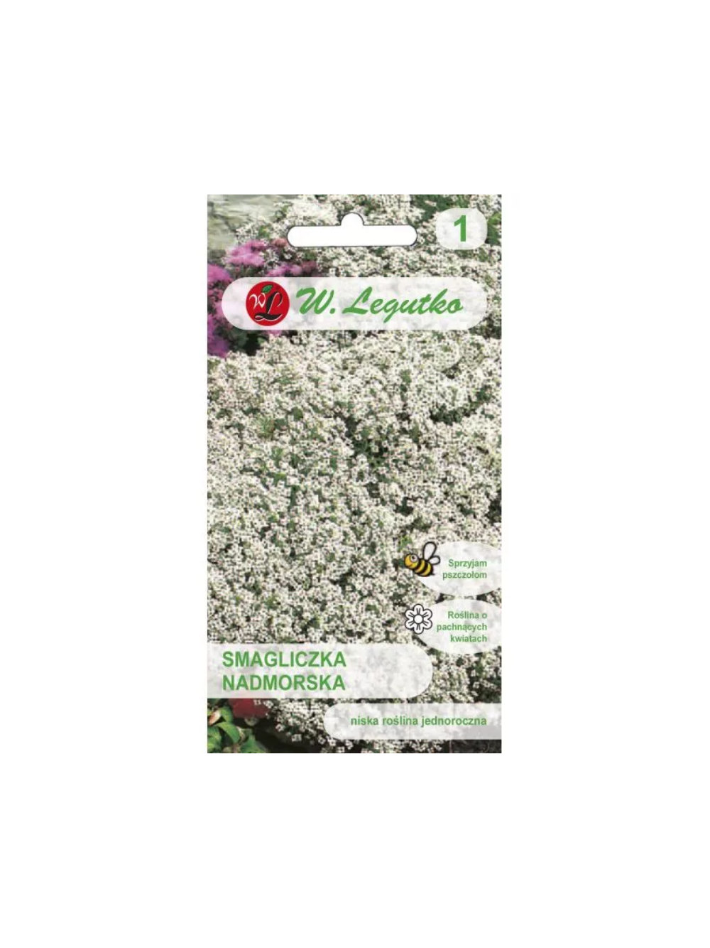 Smagliczka nadmorska - biała