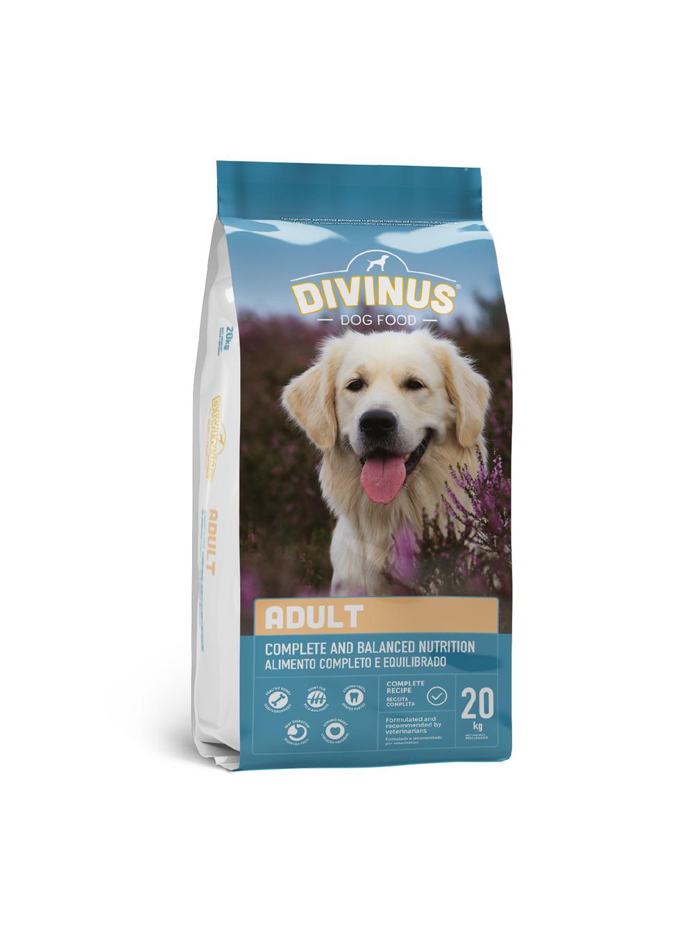 Divinus Adult dla psów dorosłych 20kg